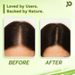 Hair Regrowth Oil