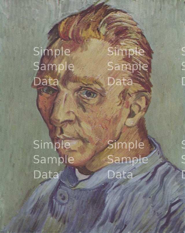 SELF-PORTRAIT WITHOUT BEARD | VINCENT VAN GOGH